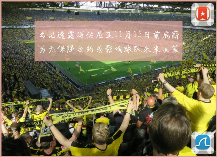 名记透露海佐尼亚11月15日前底薪为无保障合约或影响球队未来决策
