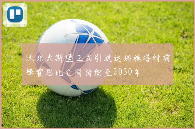 沃尔夫斯堡正式引进达姆施塔特前锋霍恩比合同持续至2030年