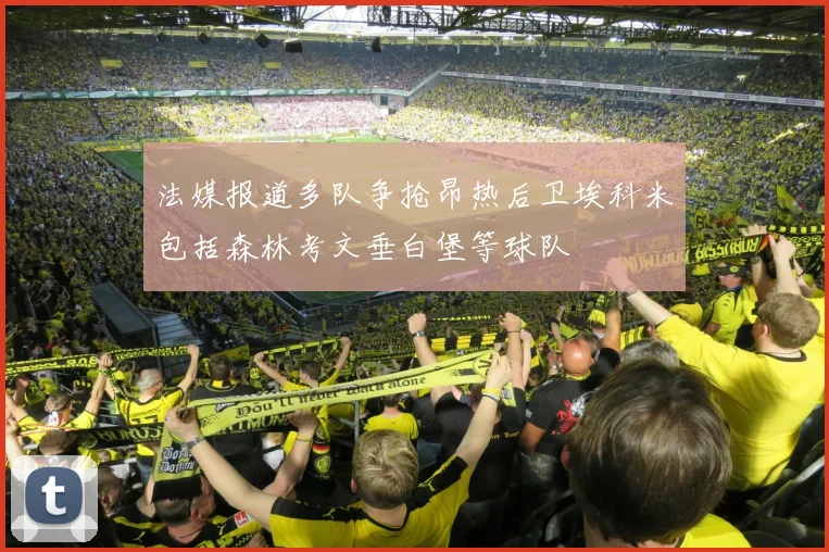 法媒报道多队争抢昂热后卫埃科米包括森林考文垂白堡等球队