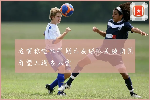 名嘴称哈珀早期已成球队关键拼图有望入选名人堂